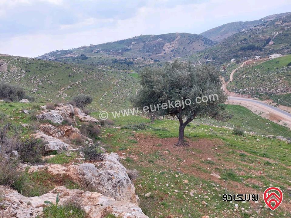  أرض سكنية للبيع في السلط - الجبيل مساحة 1052م (تصنيف أ)