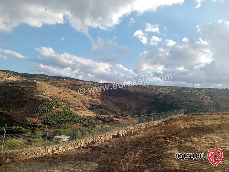 أرض مساحة 3 دونم و 796م قوشان مستقل للبيع من المالك مباشرة في جرش مطلة على سيل جرش، سنسال متر وشيك ارتفاع مترين على كامل القطعة بالاضافة الى شجر زيتون وحمضيات عدد 70