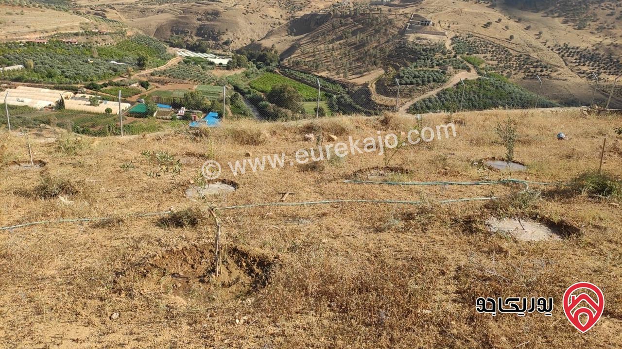 أرض مساحة 3 دونم و 796م قوشان مستقل للبيع من المالك مباشرة في جرش مطلة على سيل جرش، سنسال متر وشيك ارتفاع مترين على كامل القطعة بالاضافة الى شجر زيتون وحمضيات عدد 70