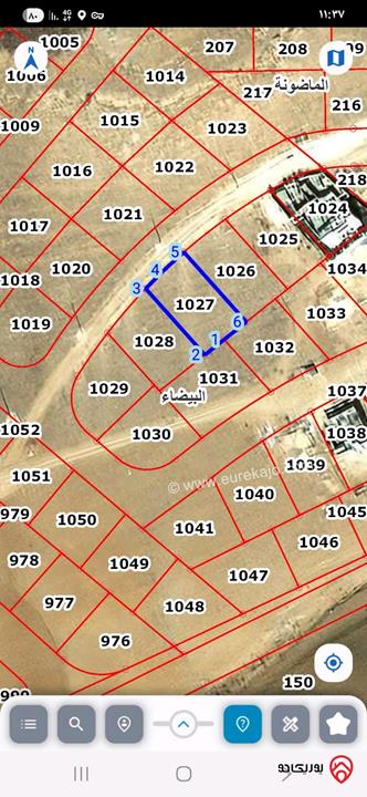 ارض مساحة 502 متر للبيع في عمان - البيضاء حوض الحميدين رقم 1027