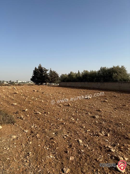 ارض سكني مساحة 689 متر للبيع في عمان - ناعور القهاقير 