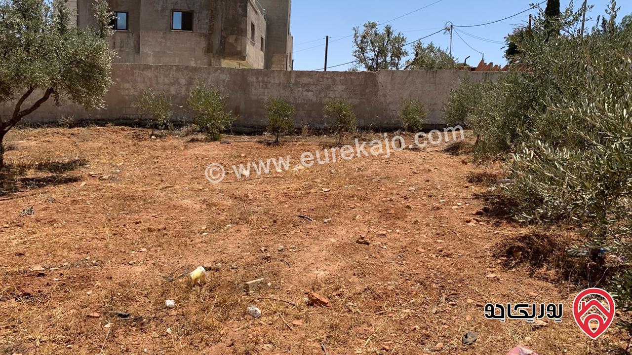 مزرعة مساحة الأرض 2 دونم للبيع بدون منزل في جرش حي الجبارات