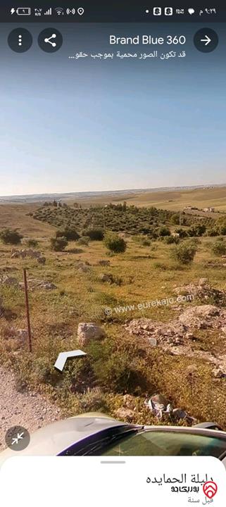 قطعة ارض مساحة 6 دونم مادبا - دليلة الحمايدة