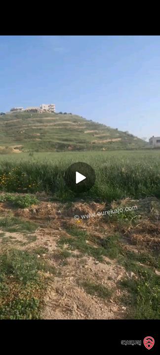 قطعة أرض مساحة 4 دونم و 362م للبيع في عمان - البحاث عراق الأمير