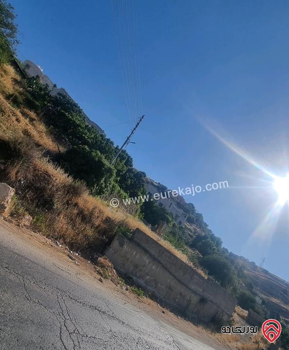 بيت مستقل طابق ونصف مساحة 180م على ارض 2 دونم شجر جميعه مثمر للبيع في عمان - بدر الجديدة