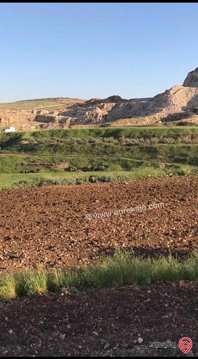 قطع أراضي عدد 3 مساحتهم الكلية 15 دونم و 340م للبيع في اربد - الحصن