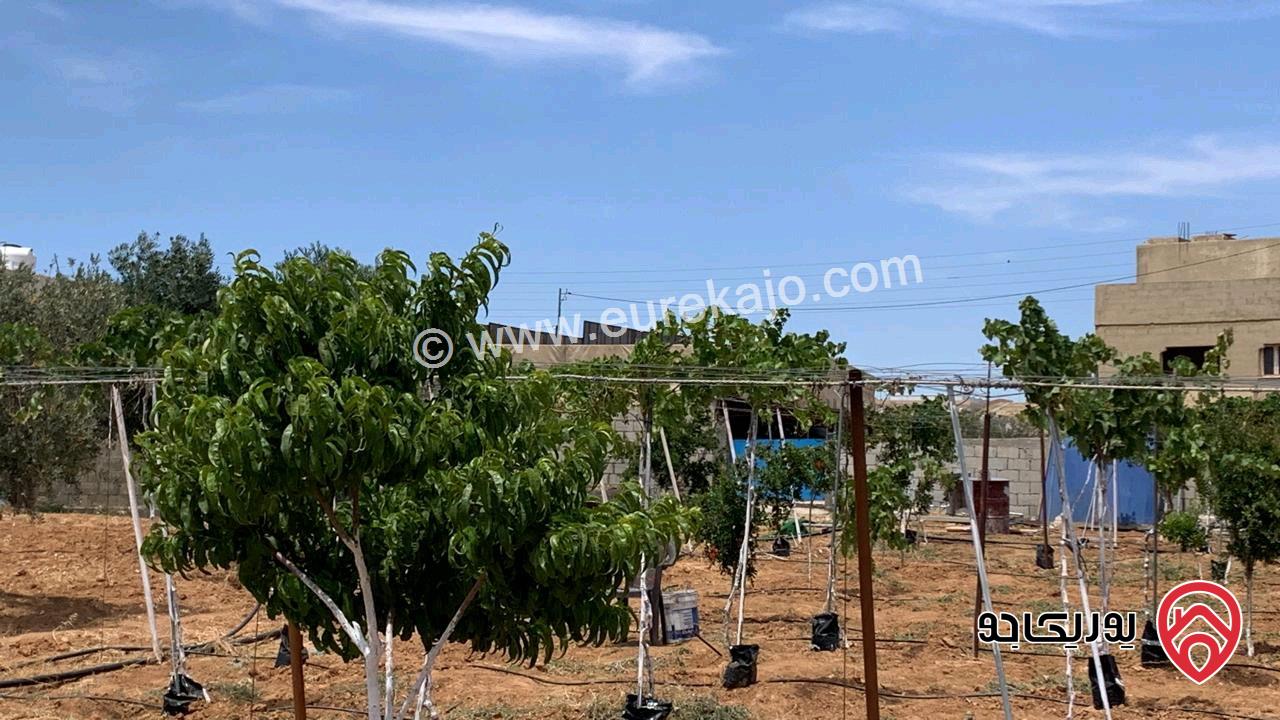 مزرعة مساحة 5 دونم وبناء 160م للبيع في مادبا - لب - قرب الجامعة الامريكية