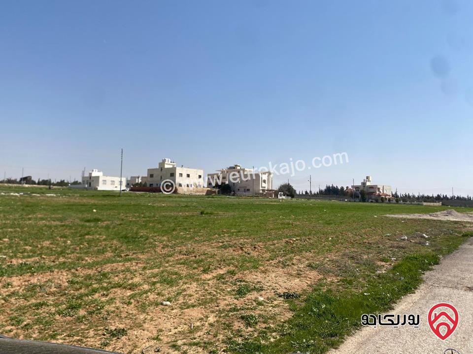 قطعة أرض مياحة 500م للبيع في عمان - مقابل جامعة الإسراء الطنيب حوض ( 2 ) السكه الغربي