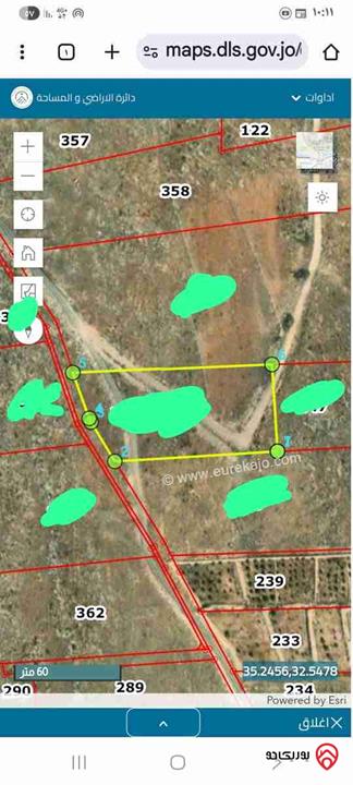 قطعة أرض مساحة 5 دونم للبيع في جرش عنيبه مميزة وجميلة وطبيعة 