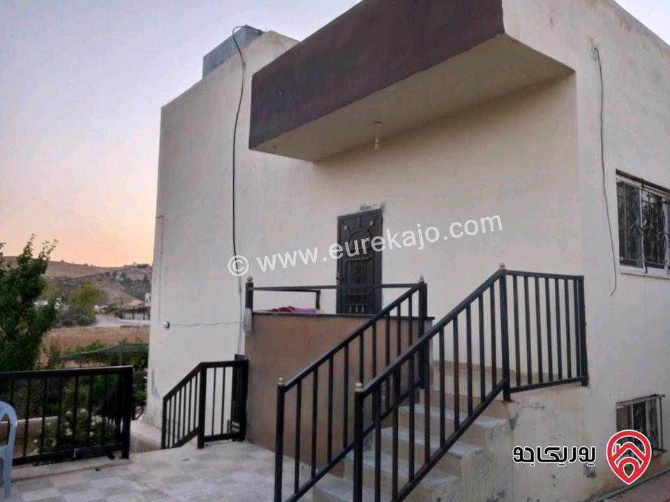 مزرعة مساحة الأرض 618م والبناء 100م للبيع في المفرق