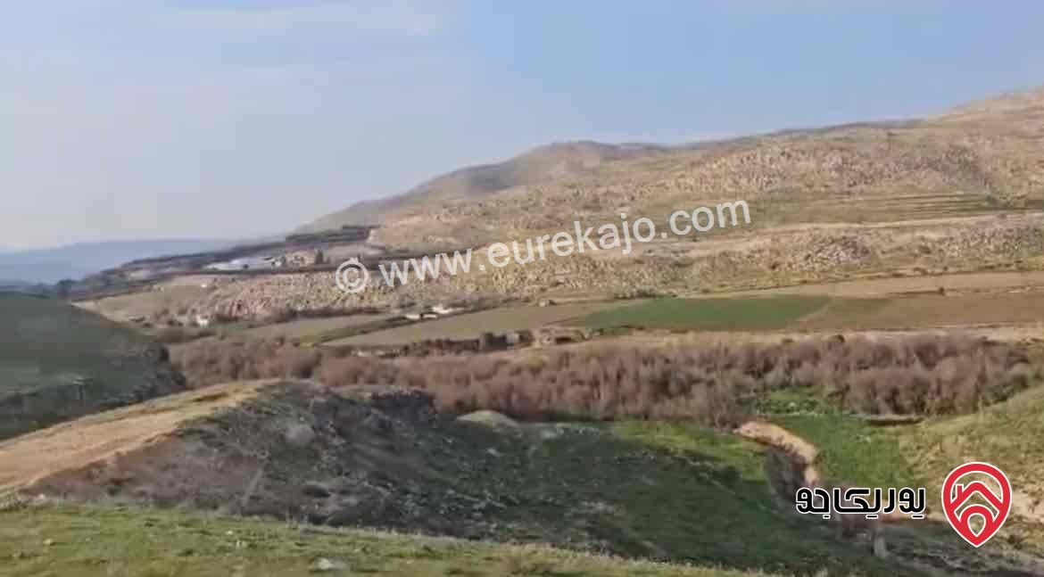 قطعتين ارض مساحة 1706م للبيع في الزرقاء ابو الزيغان ارحيل الغربي 