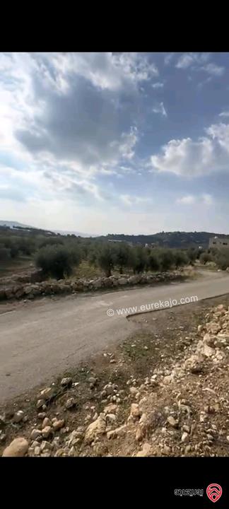 أراضي مساحة 3700م للبيع في عمان - ناعور حسبان مزروعة زيتون