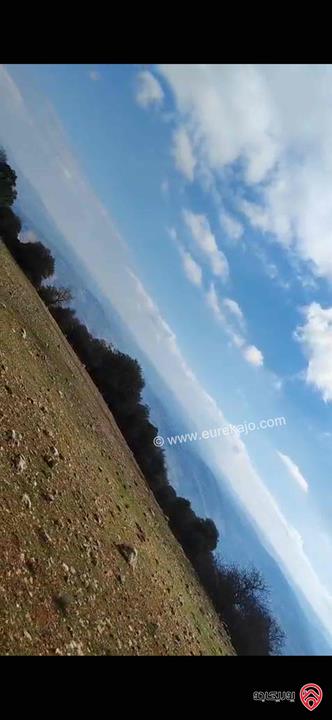 قطعة أرض مساحة 1 دونم للبيع في جرش دبين منطقة سياحية خلابة