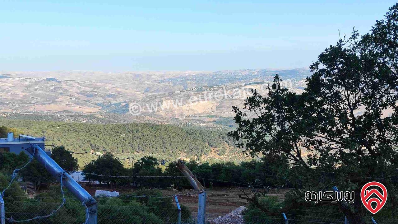 قطعة ارض مميزة مساحة 1 دونم للبيع في دبين - جرش