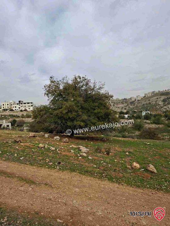 قطعة أرض مساحة 603م للبيع من أراضي غرب عمان - منطقة النعير منطقة وادي السير من المالك مباشرة 