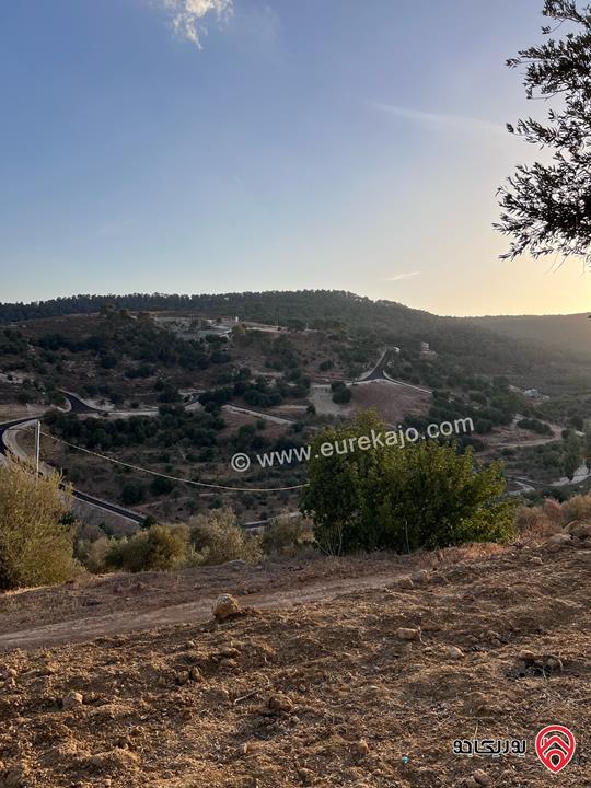 مزرعة مساحة الأرض 6 دونم و 500م للبيع في جرش منطقة جمله قريبة من محمية دبين اطلاله جميلة جداً وسعر حرق وربنا يبارك لصاحب النصيب