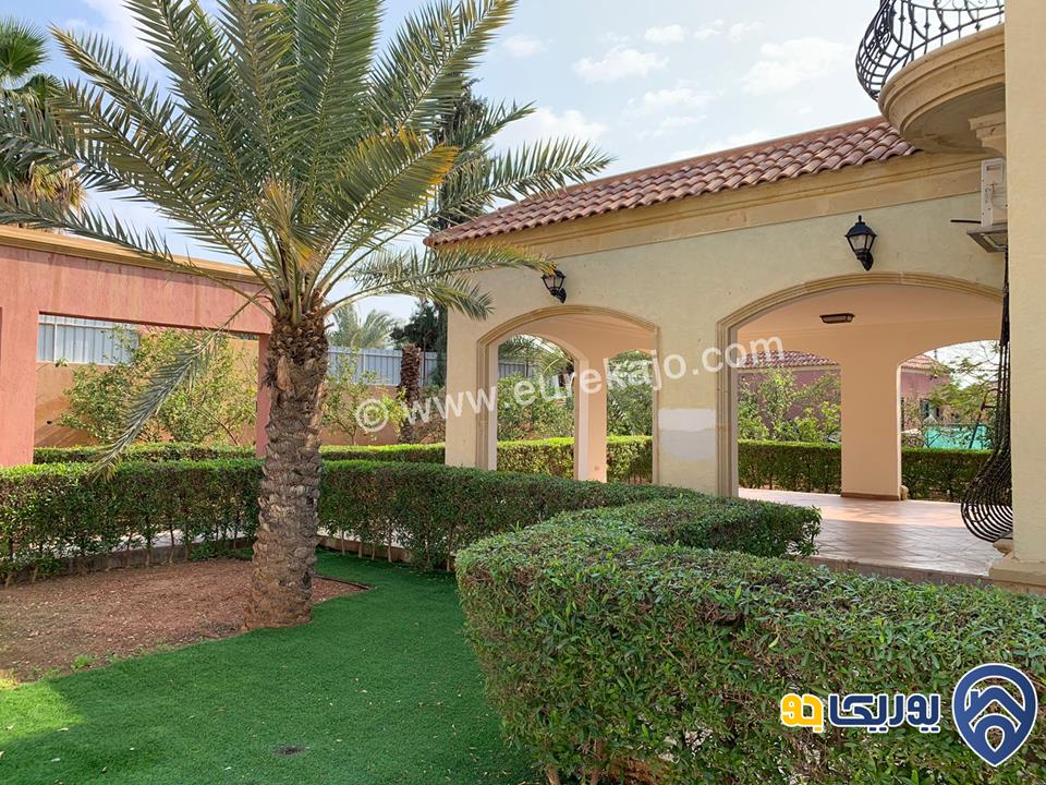  palms farm مزرعة مميزة للإيجار في البحر الميت 