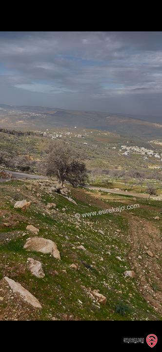 ارض مساحة 3 دونم و 750م للبيع في الزرقاء - العالوك