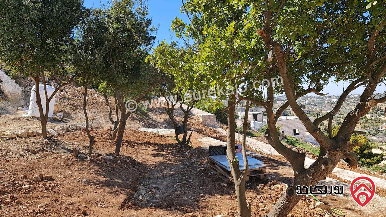 ارض مساحة 1 دونم للبيع في السلط - ام جوزة