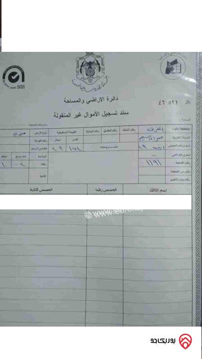 أرض للبيع في المفرق - بلعما مساحة ١٠ دونم  