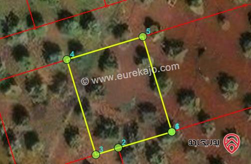 أرض 500م للبيع في اربد - من اراضي سال ضمن حوض البياض الشرقي 