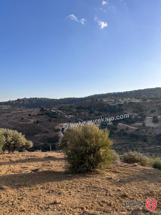 مزرعة مساحة الأرض 6 دونم و 500م للبيع في جرش منطقة جمله قريبة من محمية دبين اطلاله جميلة جداً وسعر حرق وربنا يبارك لصاحب النصيب