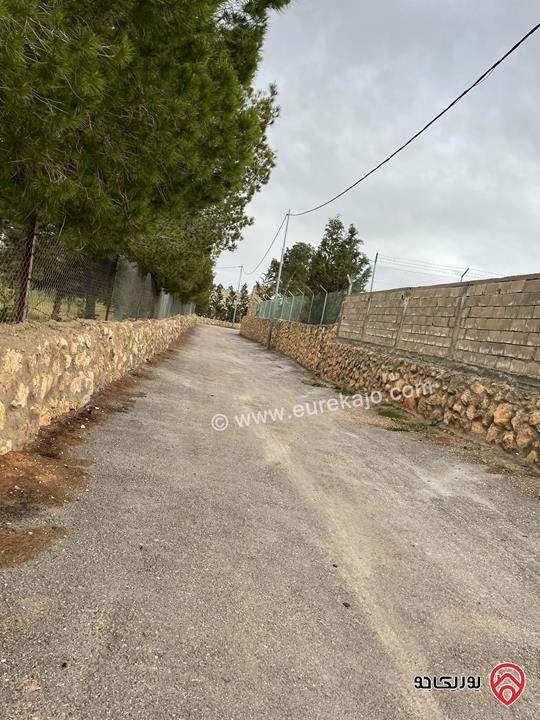 قطعة أرض مميزة مساحة 5 دونم للبيع في عمان - ناعور المشقر