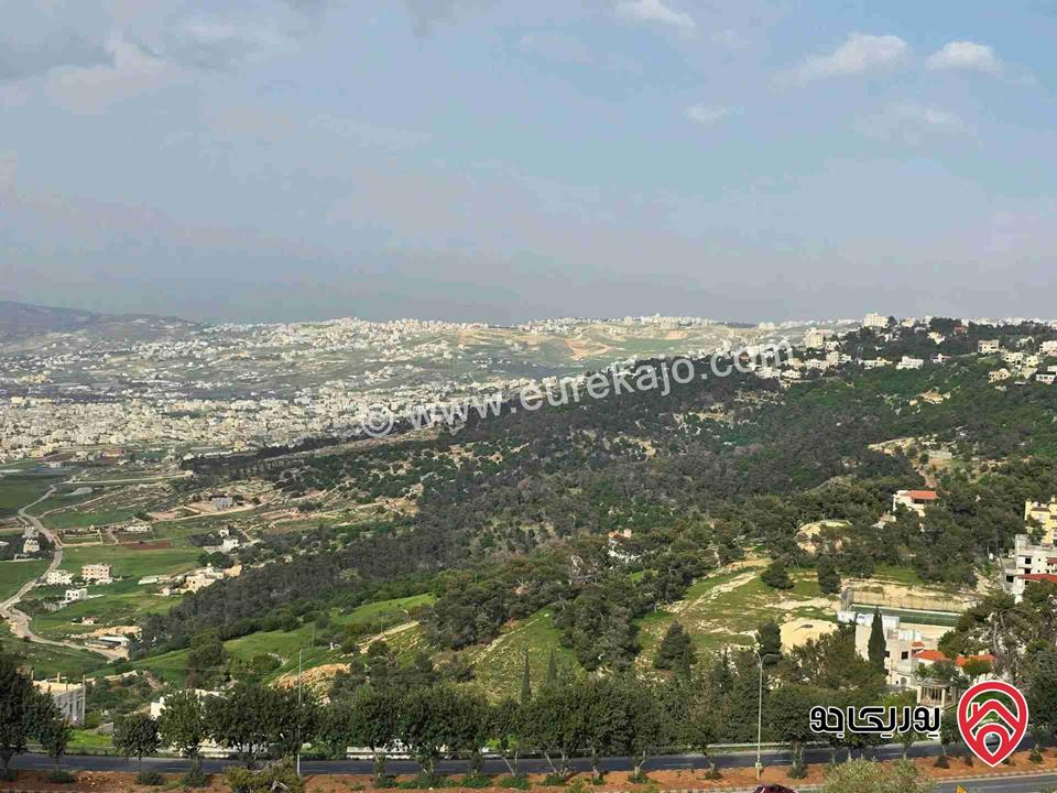 ارض مساحة 971م للبيع في السلط شفا العامرية