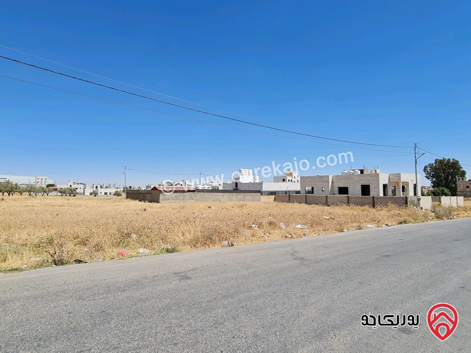 ارض مساحة 503م للبيع في عمان - منطقة جاوا/نافع من المالك مباشرة 
