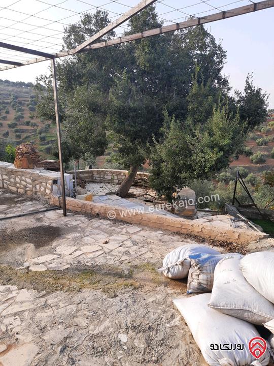 مزرعة زيتون مساحة الأرض 8 دونم و 588م و البناء مساحة 100م للبيع في السلط