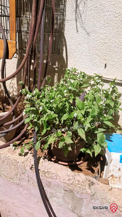 شقة تسوية مساحة 158م داخلي و 50م خارجي للبيع في عمان - ضاحية الرشيد