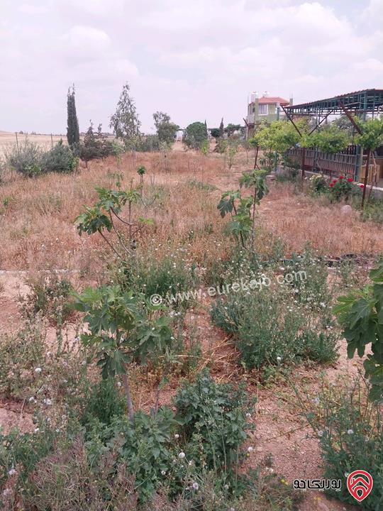 مزرعة مساحة الأرض 5217م وفيها بناء 80م للبيع في المفرق - بلعما الزيتونة 