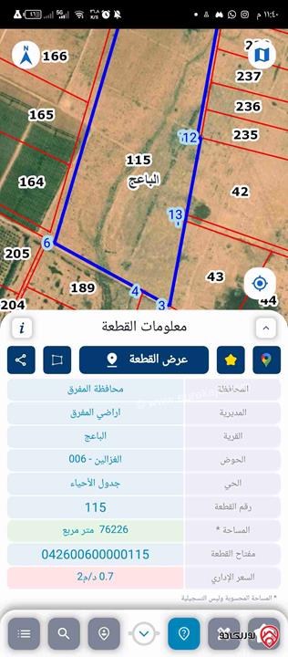 ارض زراعية مساحة 3 دونم للبيع في المفرق الباعج الغزالين