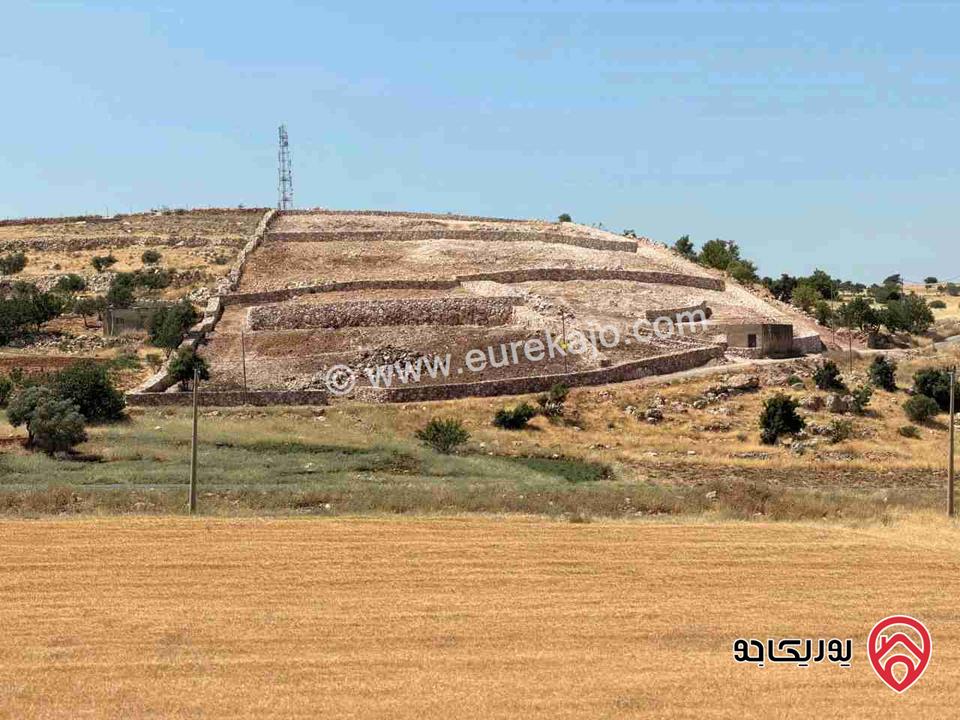 قطعة ارض مساحة 2 دونم للبيع في عجلون 