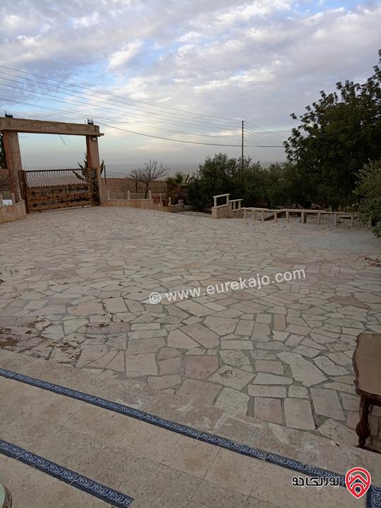 قطعة أرض مساحة 10 دونم و 704م للبيع في الزرقاء - بيرين