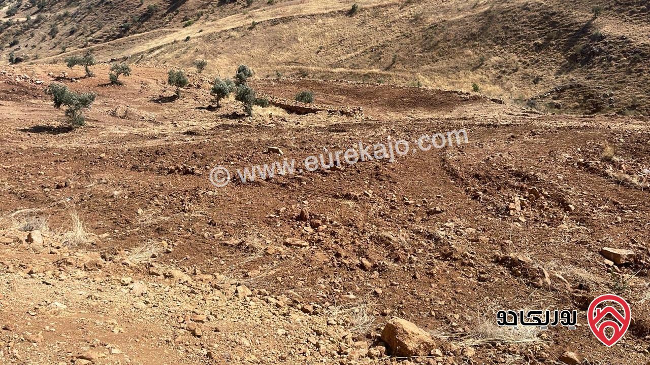 قطعة ارض مساحة 5 دونم للبيع في منطقة السلط الصبيحي 