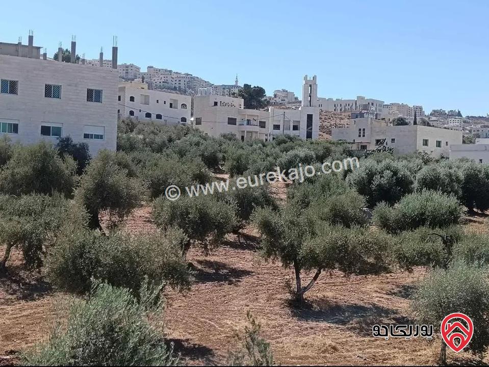 قطعة ارض مساحة 1 دونم للبيع في عمان - ابو نصير 