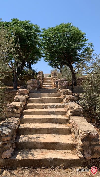 مزرعة مساحة الأرض 2 دونم للبيع بدون منزل في جرش حي الجبارات