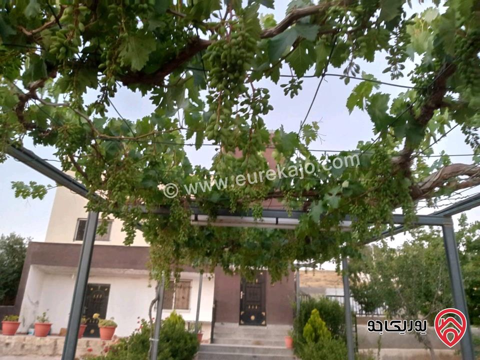 مزرعة مساحة الأرض 618م والبناء 100م للبيع في المفرق