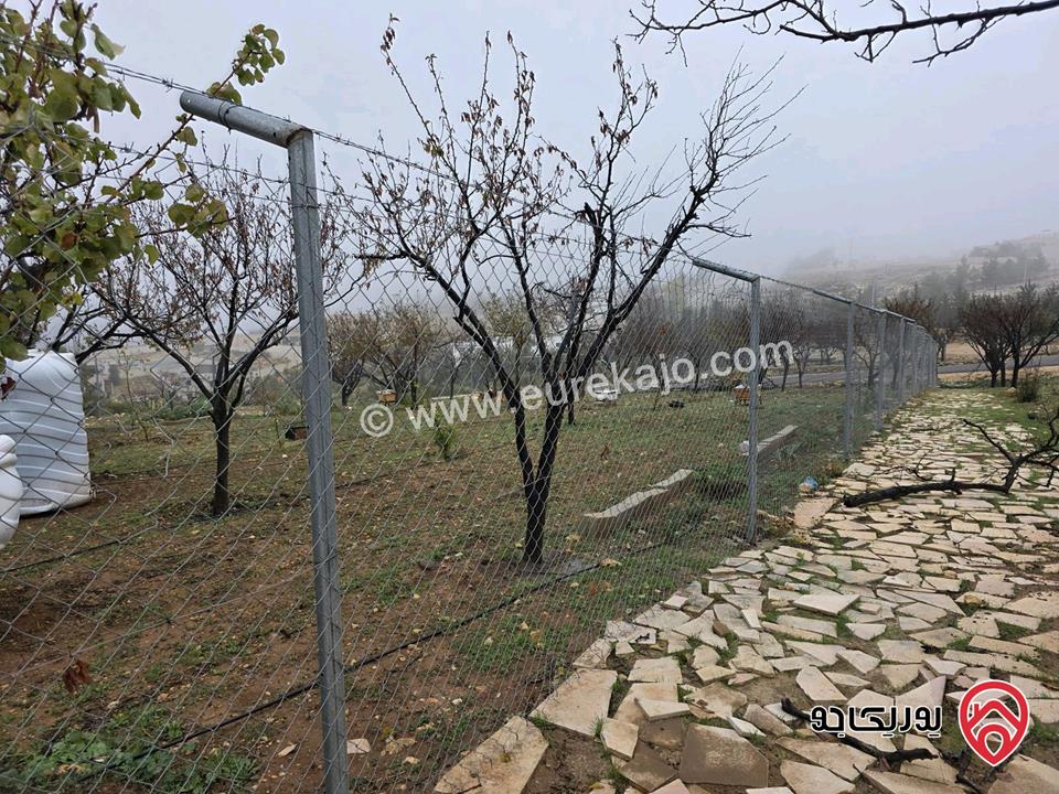 أرض مساحة 750م للبيع في عمان - ناعور