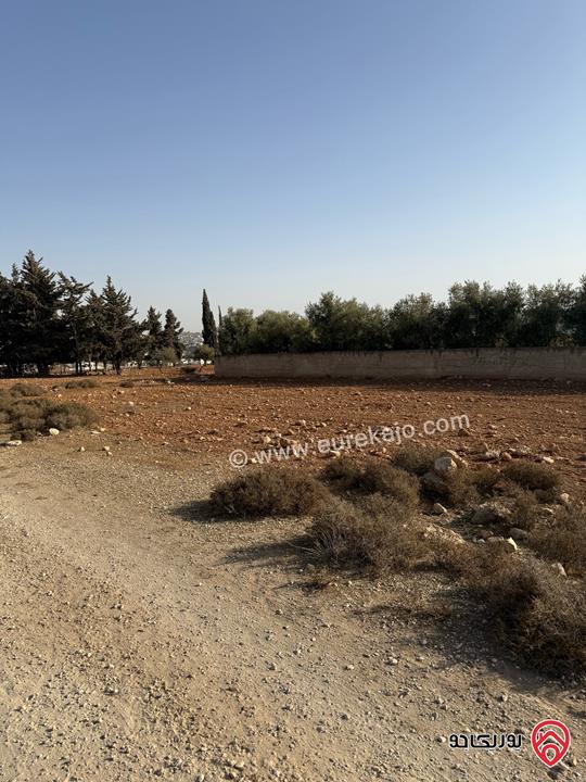 ارض سكني مساحة 689 متر للبيع في عمان - ناعور القهاقير 