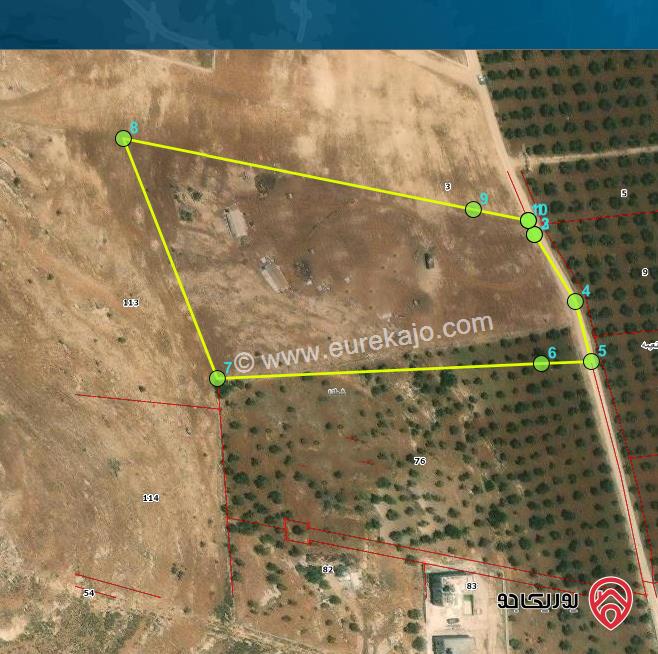 أرض مساحة 6 دونم للبيع في اربد - شطنا غرب نعيمة 