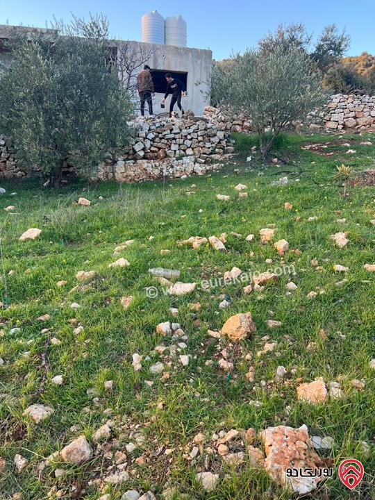 ارض مساحة 1 دونم و 982م للبيع في عجلون عنجرة سرابيس