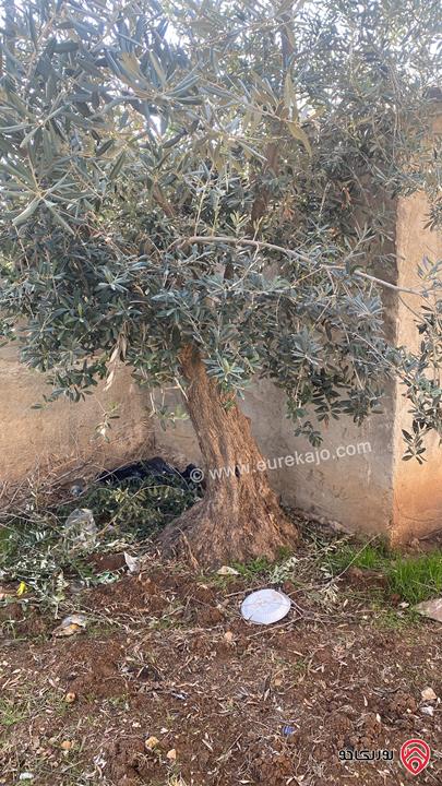 قطعة أرض مميزة ع شارعين مساحة 530م واجهة عريضة للبيع في عمان - اليادودة