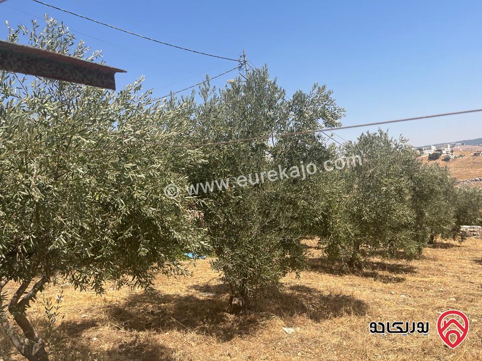 أرض مساحة 3 دونم و 600م للبيع في السلط