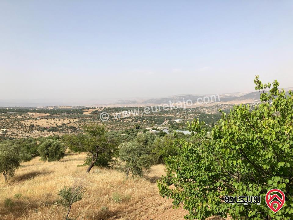 قطع أراضي عدد 5 مساحة كل قطعة 1 دونم سكن أ للبيع في السلط دعم الغزالات