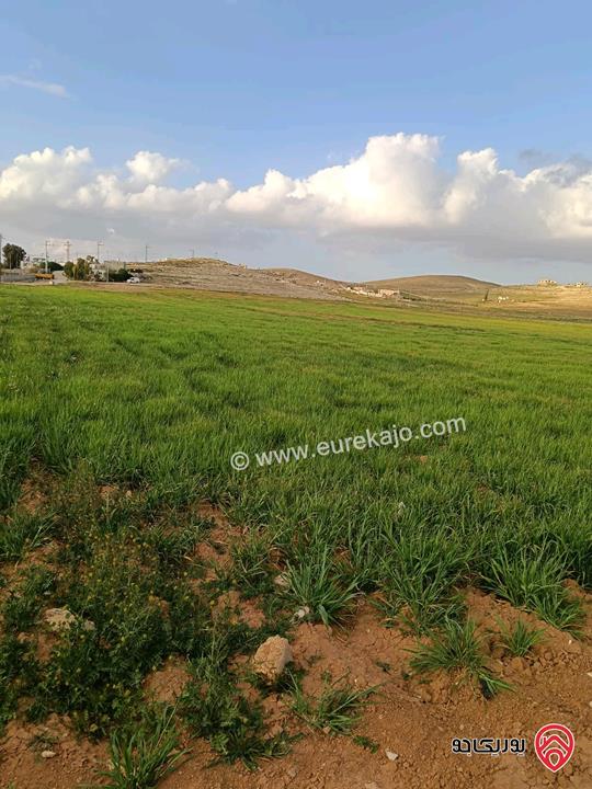 قطعة أرض مساحة 3 دونم و 400م للبيع في المفرق - الزيتونة