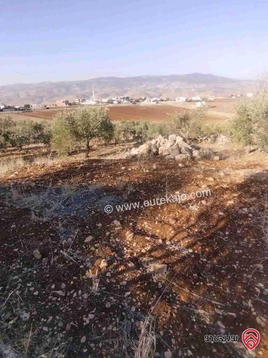 مزرعة مساحة 4 دونمات و 250م للبيع في منطقة السلط سوميا تبعد عن السلط 12 كيلو متر بسعر 20.000 للدونم قابل للتفاوض