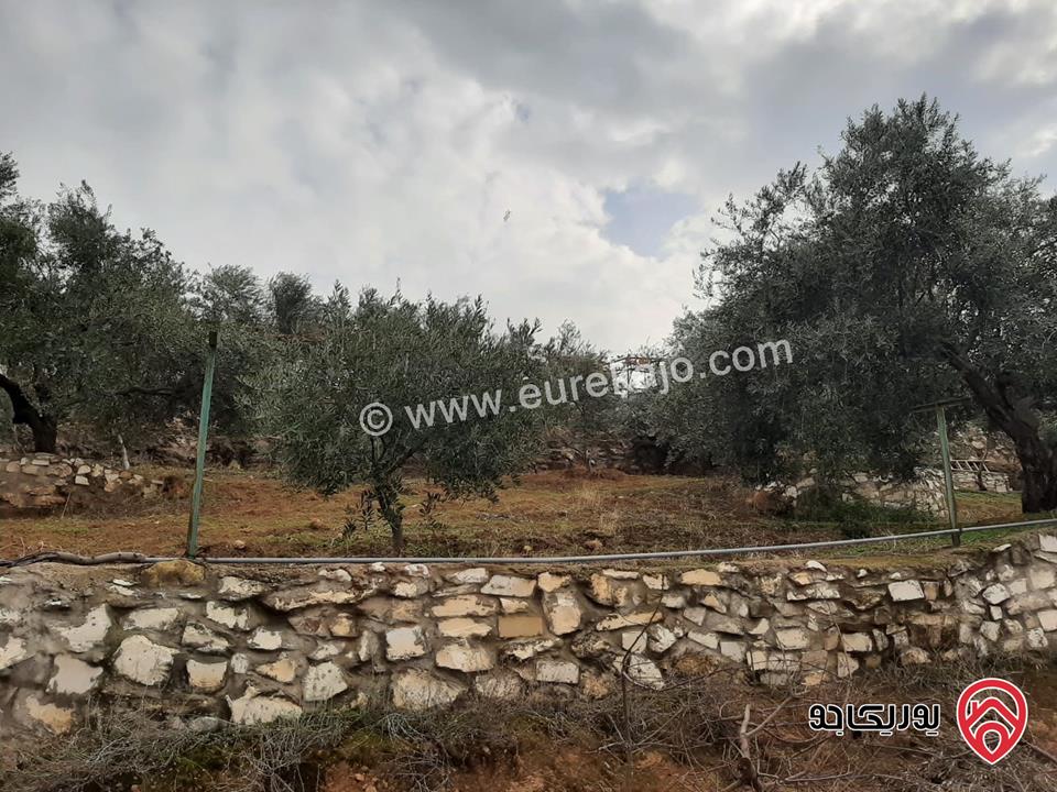 مزرعة زيتون مساحة الأرض 8 دونم و 588م و البناء مساحة 100م للبيع في السلط