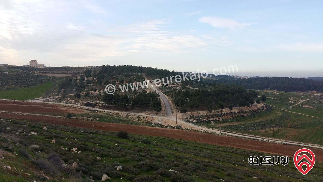 أرض مساحة 1 دونم و 390م سكن أ خاص للبيع في عمان - مشروع طلة القمر منطقة ام الكندم